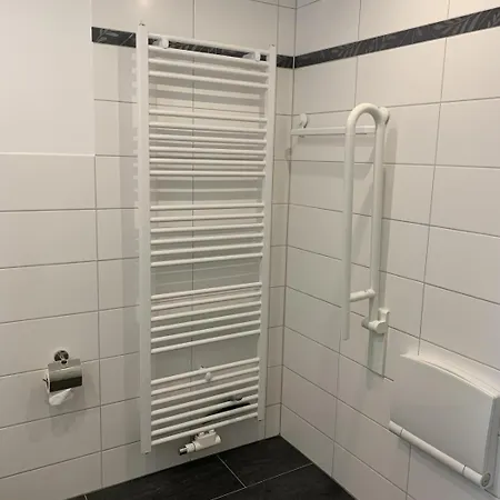 Berolina C 309 Даме