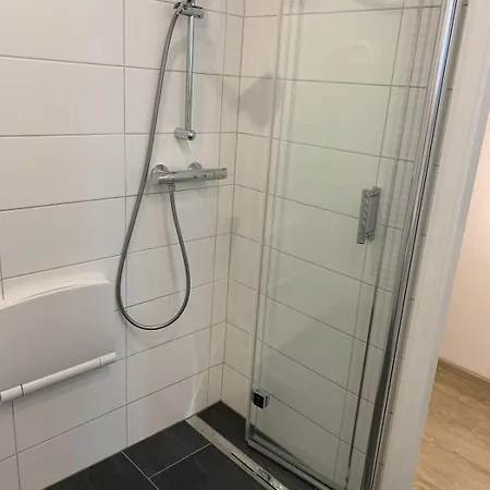 Berolina C 309 Даме